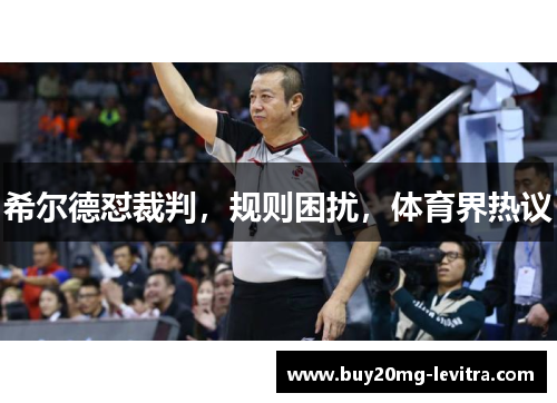 希尔德怼裁判，规则困扰，体育界热议